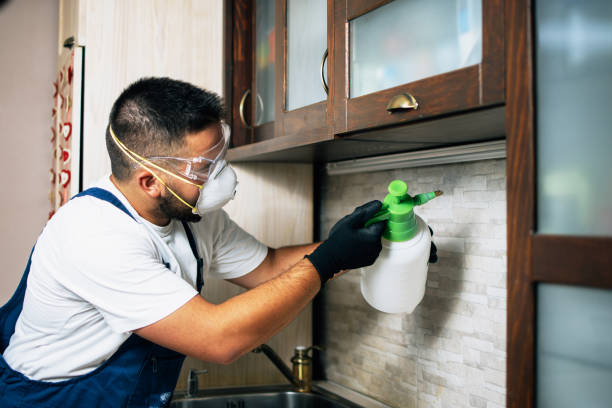 Best Mosquito Control Services  in Coconut Creek, FL