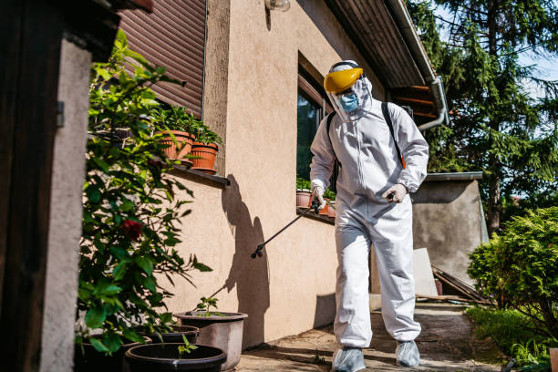 Best Pest Prevention Services  in Coconut Creek, FL