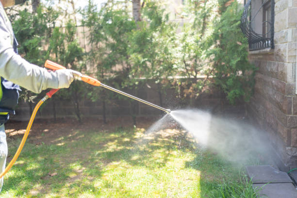 Best Residential Pest Control  in Coconut Creek, FL