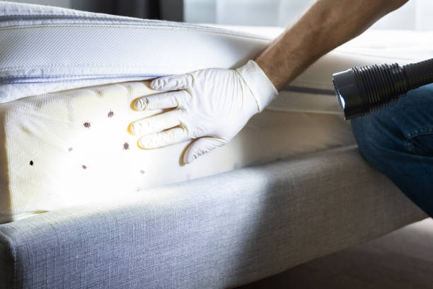 Best Bed Bug Extermination  in Coconut Creek, FL