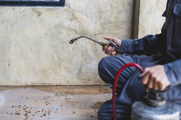 Best Mosquito Control Services  in Coconut Creek, FL