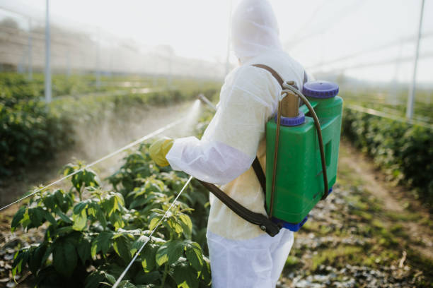 Best Wildlife Control Services  in Coconut Creek, FL